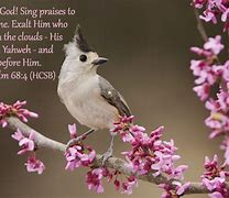 Image result for Psalm 68