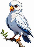 Image result for Lorie's Bird