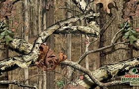 Image result for Realtree Camo Deer