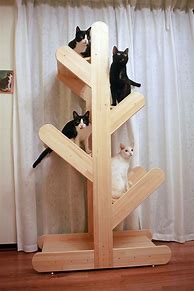 Image result for Wood Cat Tree