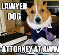 Image result for Dog Attorney Meme