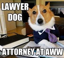 Image result for Trial Dog Meme