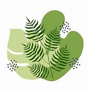 Image result for New Zealand Fern Clip Art