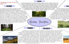 Image result for Biomas Terrestres