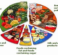 Image result for 7 Food Groups