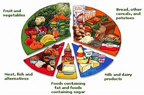 Image result for Food Groups Names