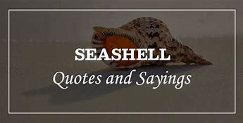 Image result for Seashell Love Sayings