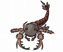 Image result for Eurypterid Ark Survival Evolved