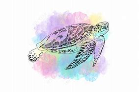 Image result for Turtle Graphic Design