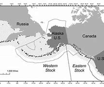 Image result for Sea Lion Map