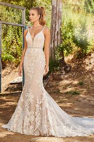 Image result for Champagne Lace Wedding Dress