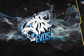 Image result for Evos Ml