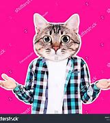 Image result for Cat with Human Body