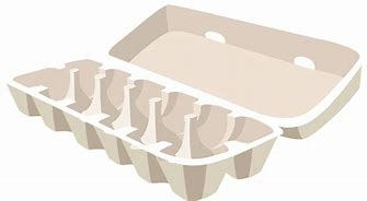 Image result for Carton Egg Tray