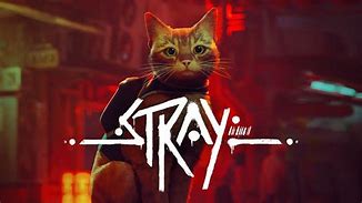 Image result for Stray Jeu