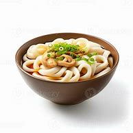 Image result for Big Bowl of Udon