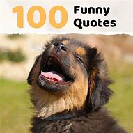 Image result for Top Funny Sayings