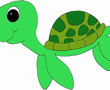 Image result for Turtle Graphic Design