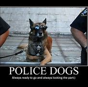 Image result for Funny Police Dog Memes