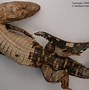 Image result for Melanosuchus