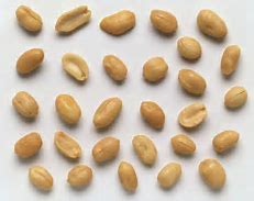 Image result for Peanuts Food