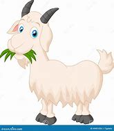 Image result for pygmy goat cartoon