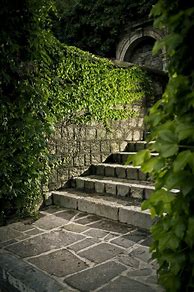 Image result for Back Yard Stone Steps