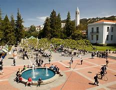 Image result for UC Berkeley Beautiful