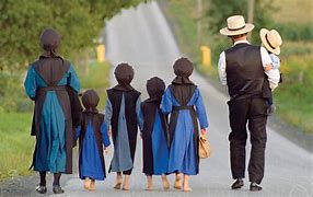 Image result for Los Amish