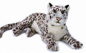 Image result for Snow Leopard Back Legs Lying Down