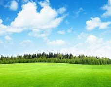 Image result for Background Padang Rumput