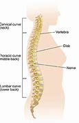 Image result for Tight Low-Back