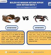 Image result for Ketam Batu vs Ketam Nipah