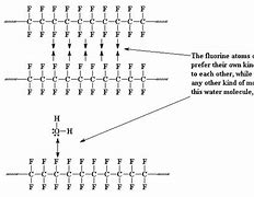 Image result for PTFE Structure