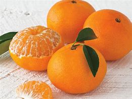 Image result for Orange Tangerine Hybrid