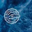 Image result for WSL Black Surf Logo