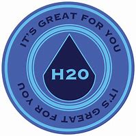 Image result for H20 Logo Outline