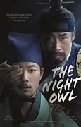 Image result for Owl Night Time