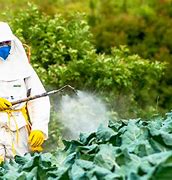 Image result for Pesticides Products