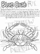 Image result for Blue Crab Anatomy Diagram