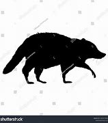 Image result for Raccoon Cue