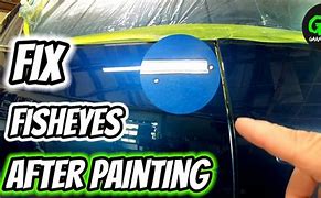 Image result for Fish Eye Paint