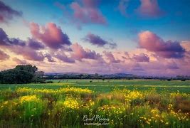 Image result for Kansas Nature