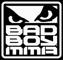 Image result for Bad Boy MMA Logo