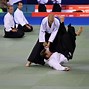 Image result for Image of Aikido