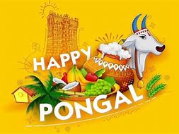 Image result for Pongal Background