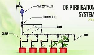 Image result for Drip Irrigation System Installation