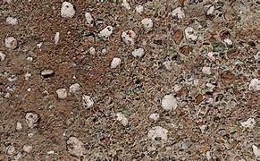 Image result for Gravel PBR