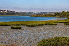 Image result for Back Bay Newport Beach