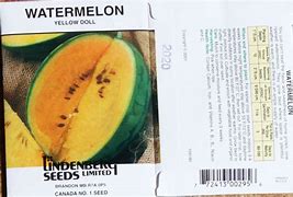 Image result for Yellow Doll Watermelon